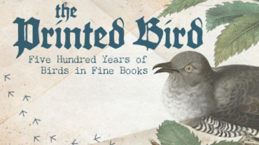 The Printed Bird